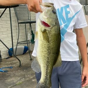 Meet your Posher, Cash